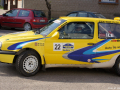 DSC06226-Large
