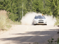 DSC06264-Large