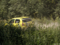 DSC06461-Large