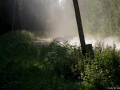 DSC06514-Large