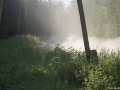 DSC06515-Large