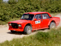 DSC06716-Large
