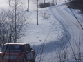 DSC05436-Large