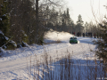 DSC08035-Large