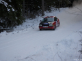 DSC08211-Large