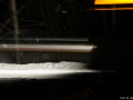 DSC08306-Large