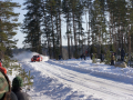 DSC08814-Large