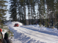 DSC08815-Large