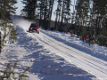 DSC08858-Large