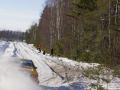 DSC08884-Large