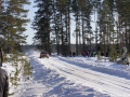 DSC08887-Large