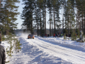 DSC08888-Large