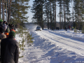 DSC08913-Large