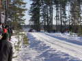 DSC08959-Large