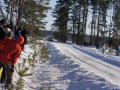 DSC09006-Large