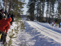 DSC09007-Large