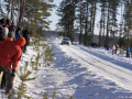 DSC09009-Large