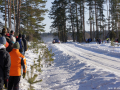 DSC09019-Large