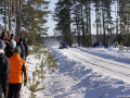 DSC09020-Large