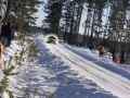 DSC09033-Large