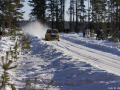 DSC09073-Large