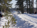 DSC09102-Large