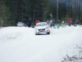 DSC05152-Large