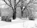 DSC05806-Large