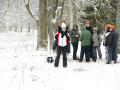 DSC06148-Large