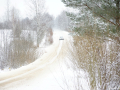 DSC06524-Large