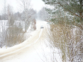 DSC06525-Large